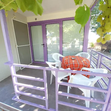 Complex Exotica Hotel 2*