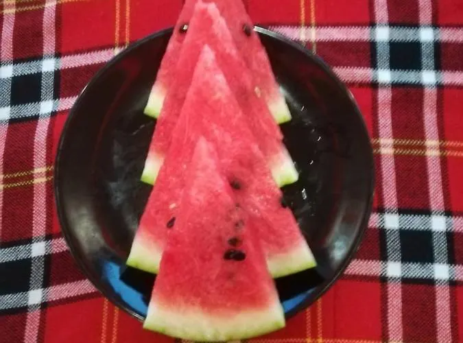 Hotel Complex Exotica 2*