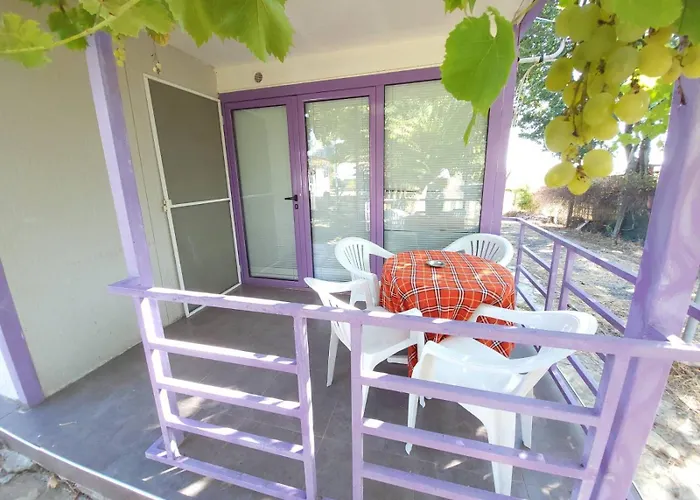 Complex Exotica Hotel 2*